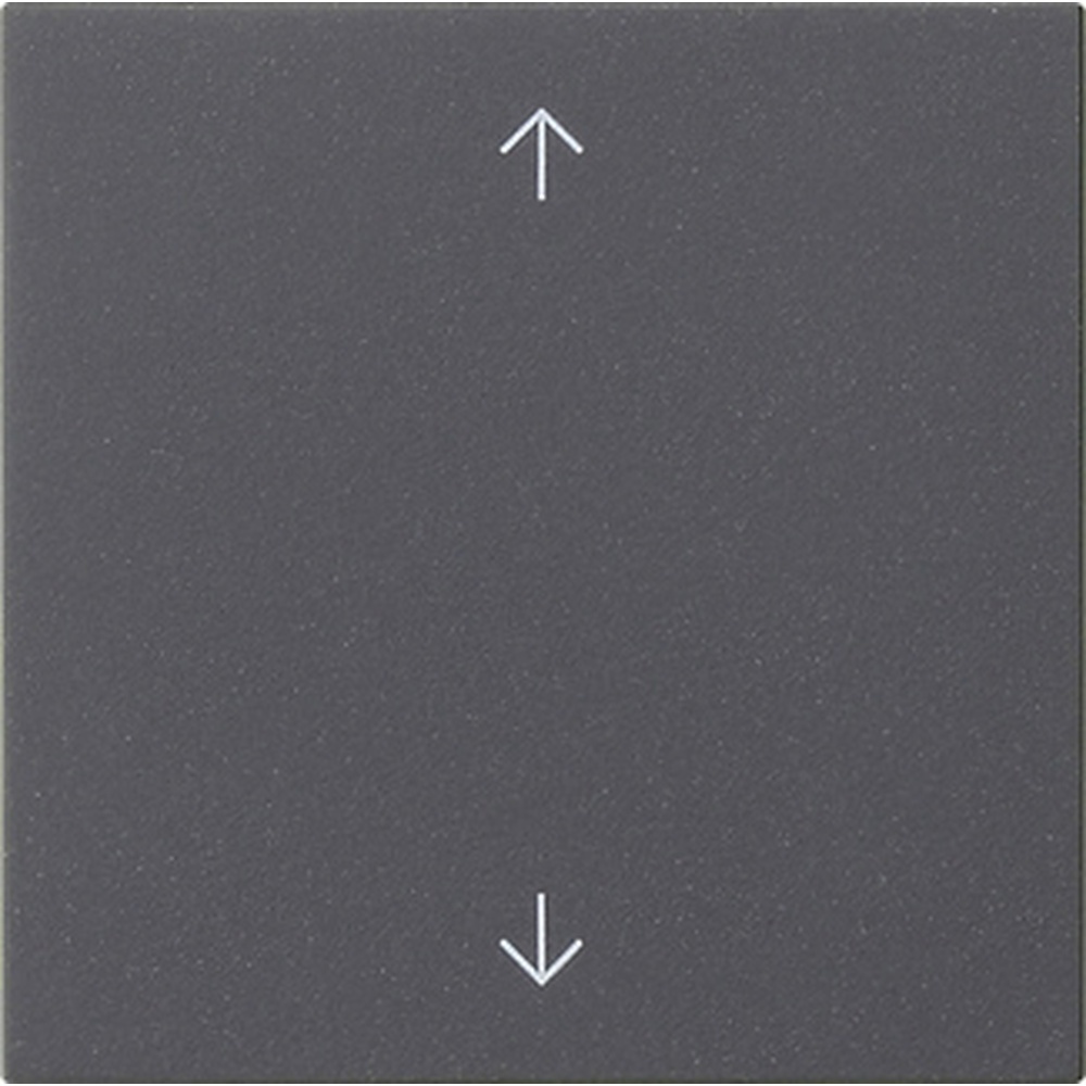 Gira Wippe 1fach 538928