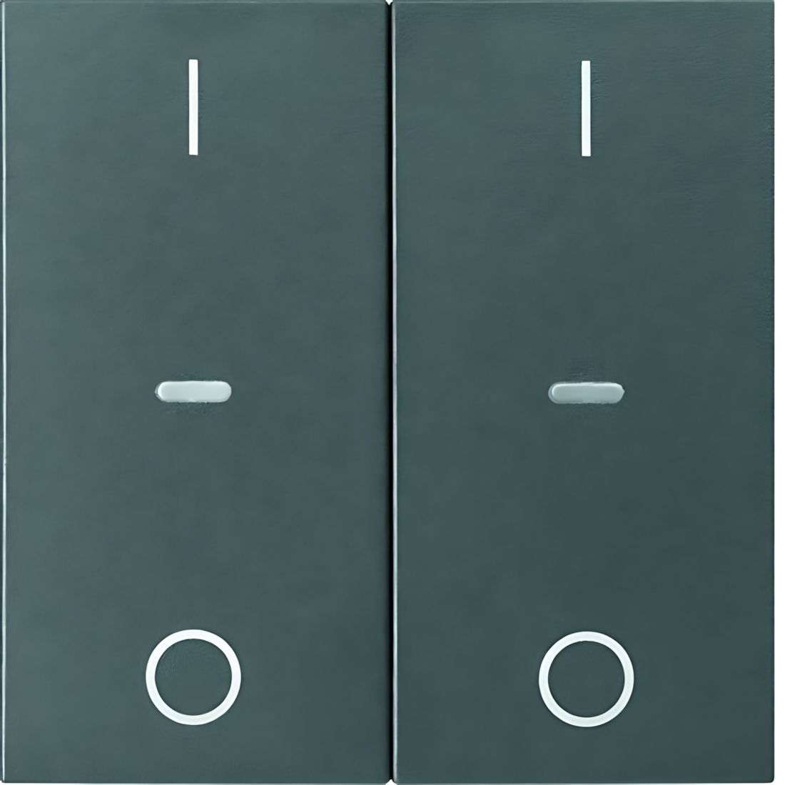 Berker Tastsensor Abdeckung 80962385