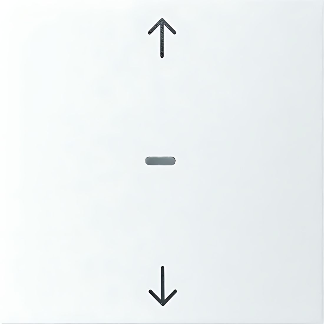 Berker Tastsensor Abdeckung 80961299