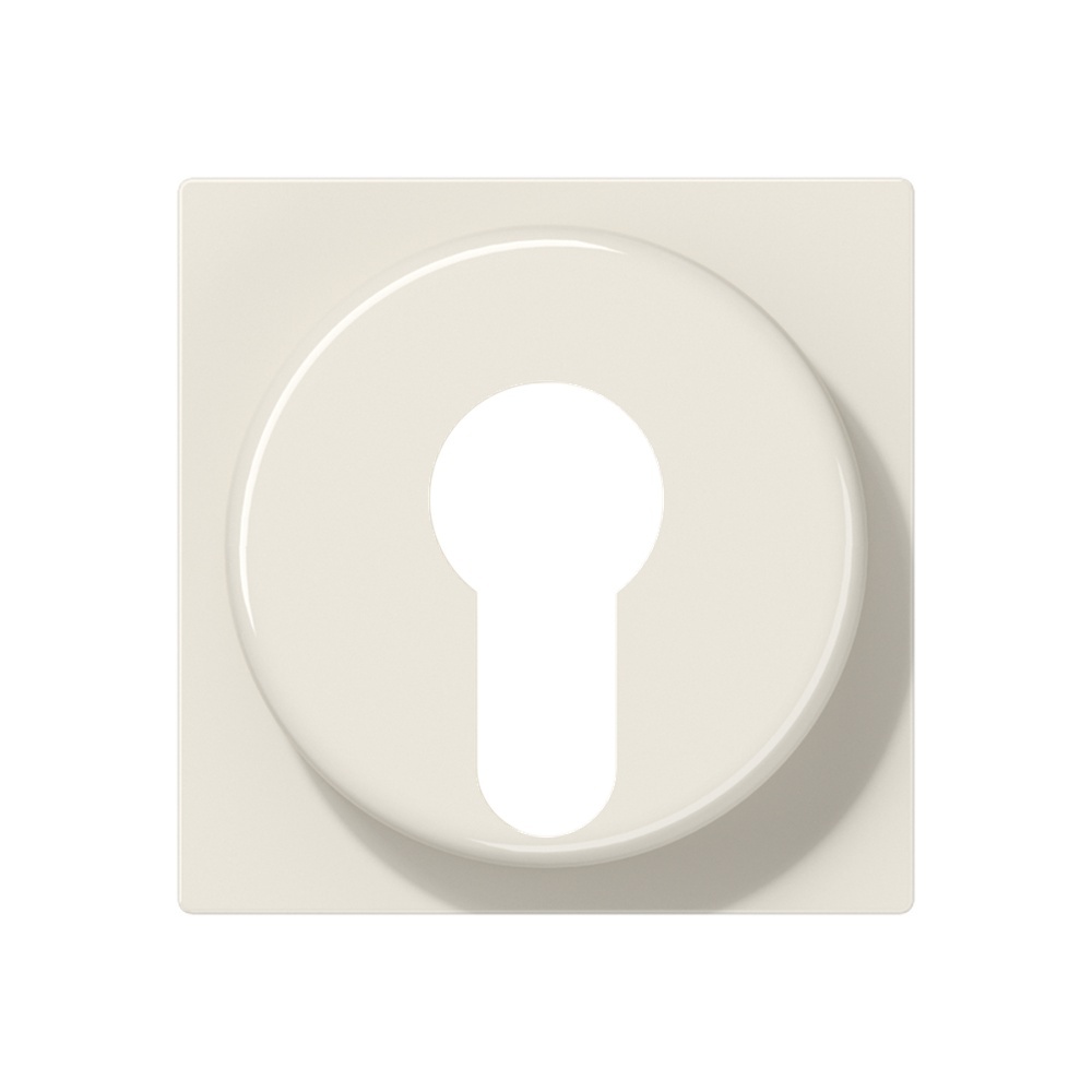 Jung Abdeckung Schlüsselschalter A 528 PL