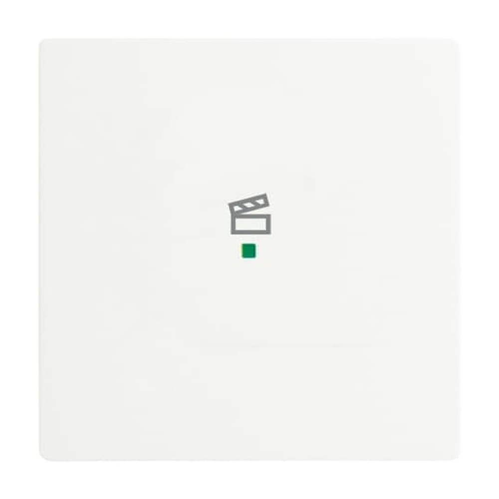 Busch-Jaeger Wippe 6233-10-884 Nr. 2CKA006220A0484