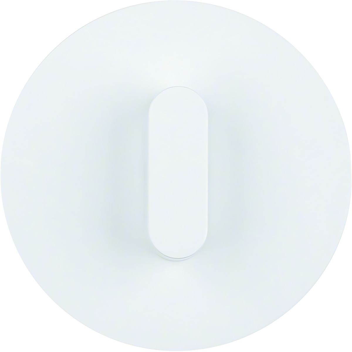 Berker Abdeckplatte 1001208900