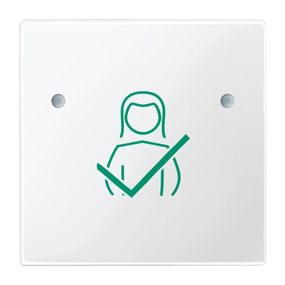 Merten Tastfläche 1fach MEG4841-0319