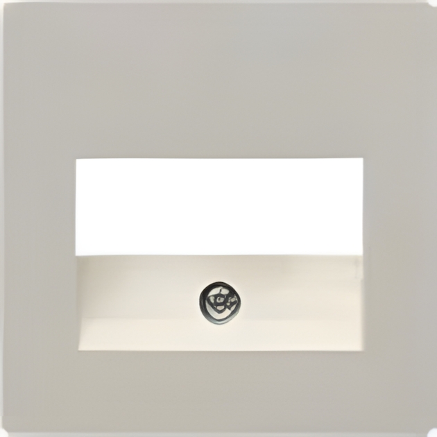 Berker 141902 Zentralplatte