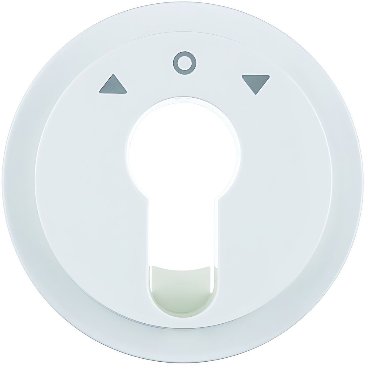 Berker Zentralstück 15062089