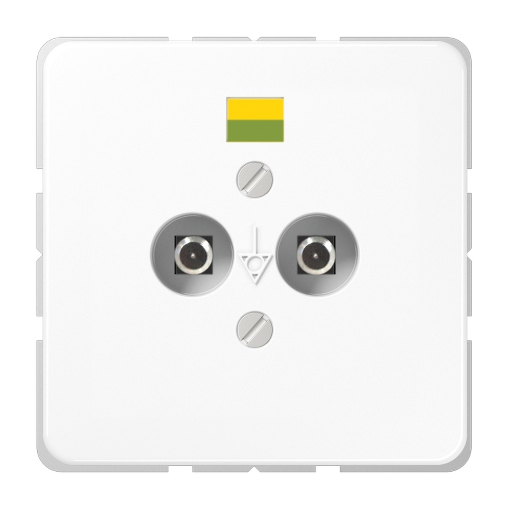 Jung Potentialausgleich Steckdose CD 565-2 WW