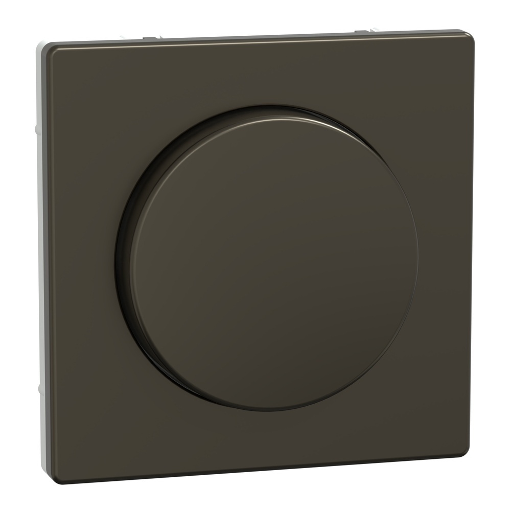 Merten Zentralplatte MEG5250-6052