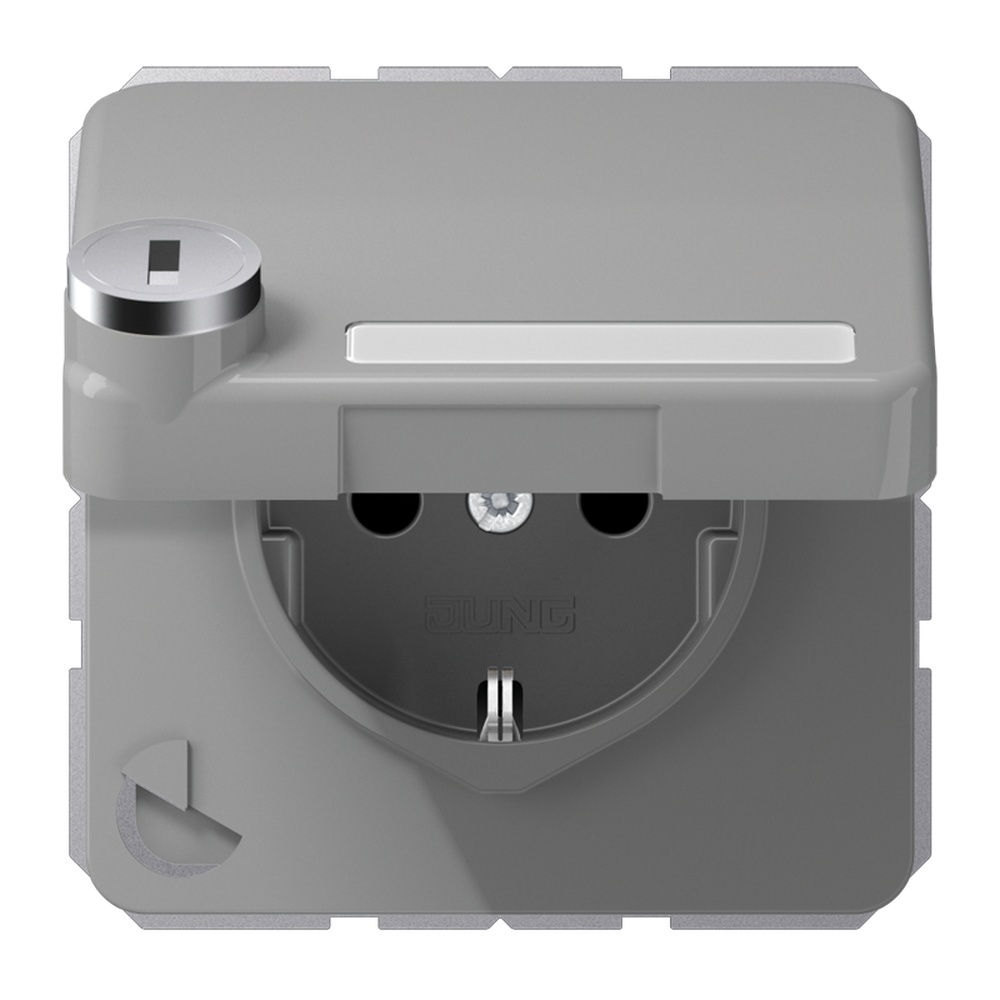 Jung Schutzkontakt Steckdose CD 1520 NAKLSL GR