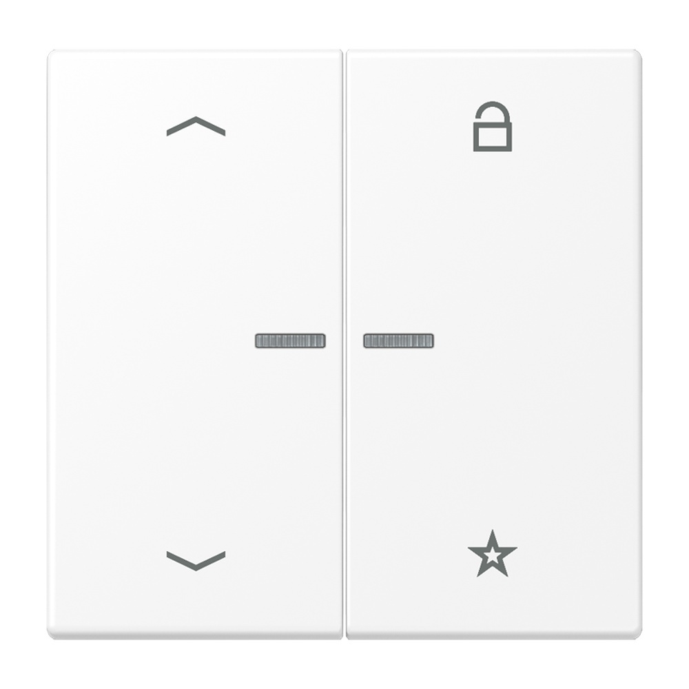 Jung eNet Funk Steuertaste  Pfeile  2fach FMLS1701PWWM