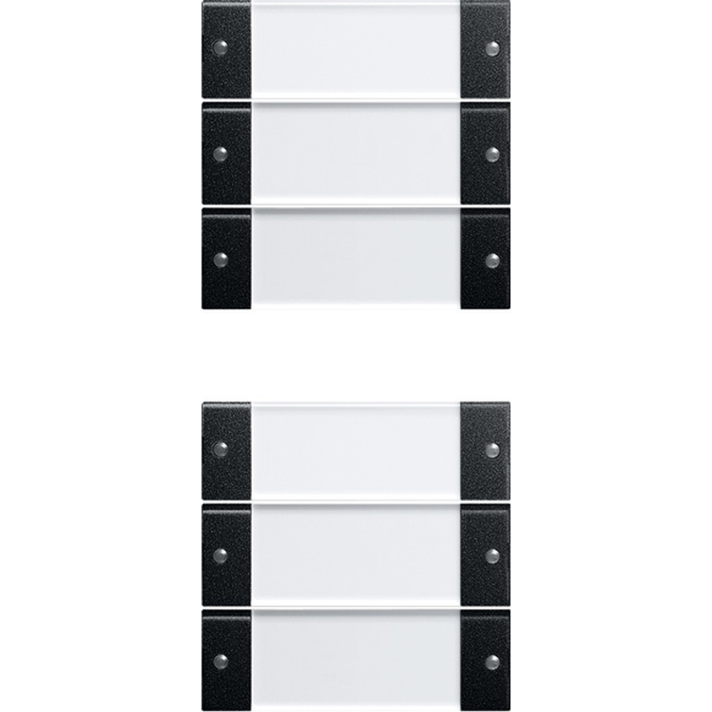 Gira Wippenset 2136005