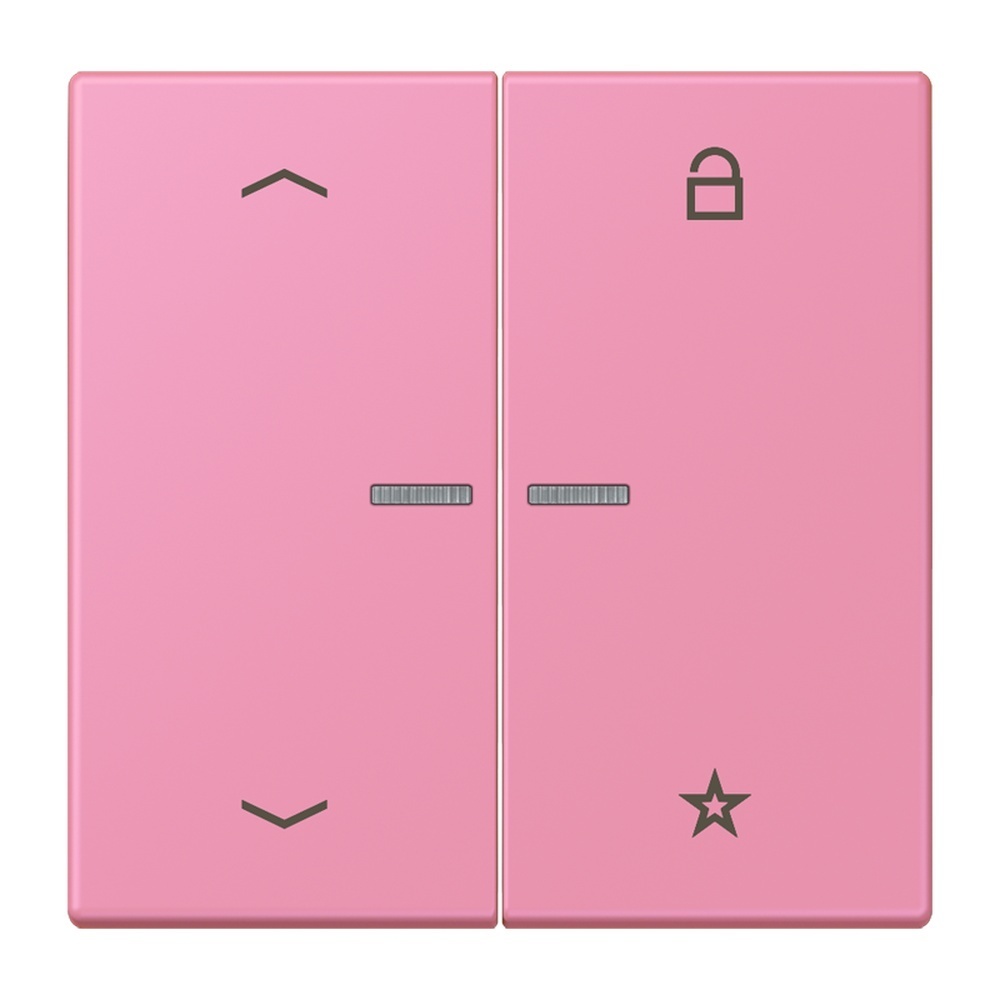 Jung Taster FMLC1701P246