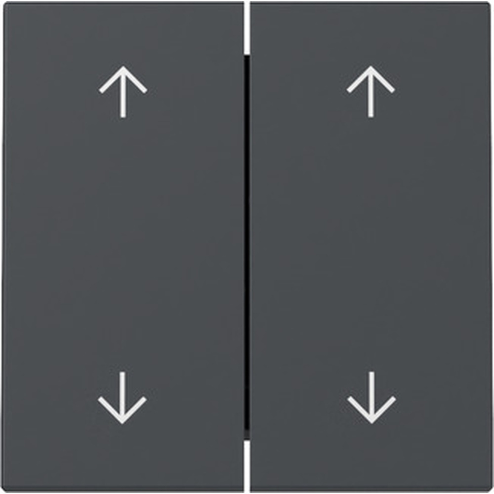 Gira Wippe 2fach 329728