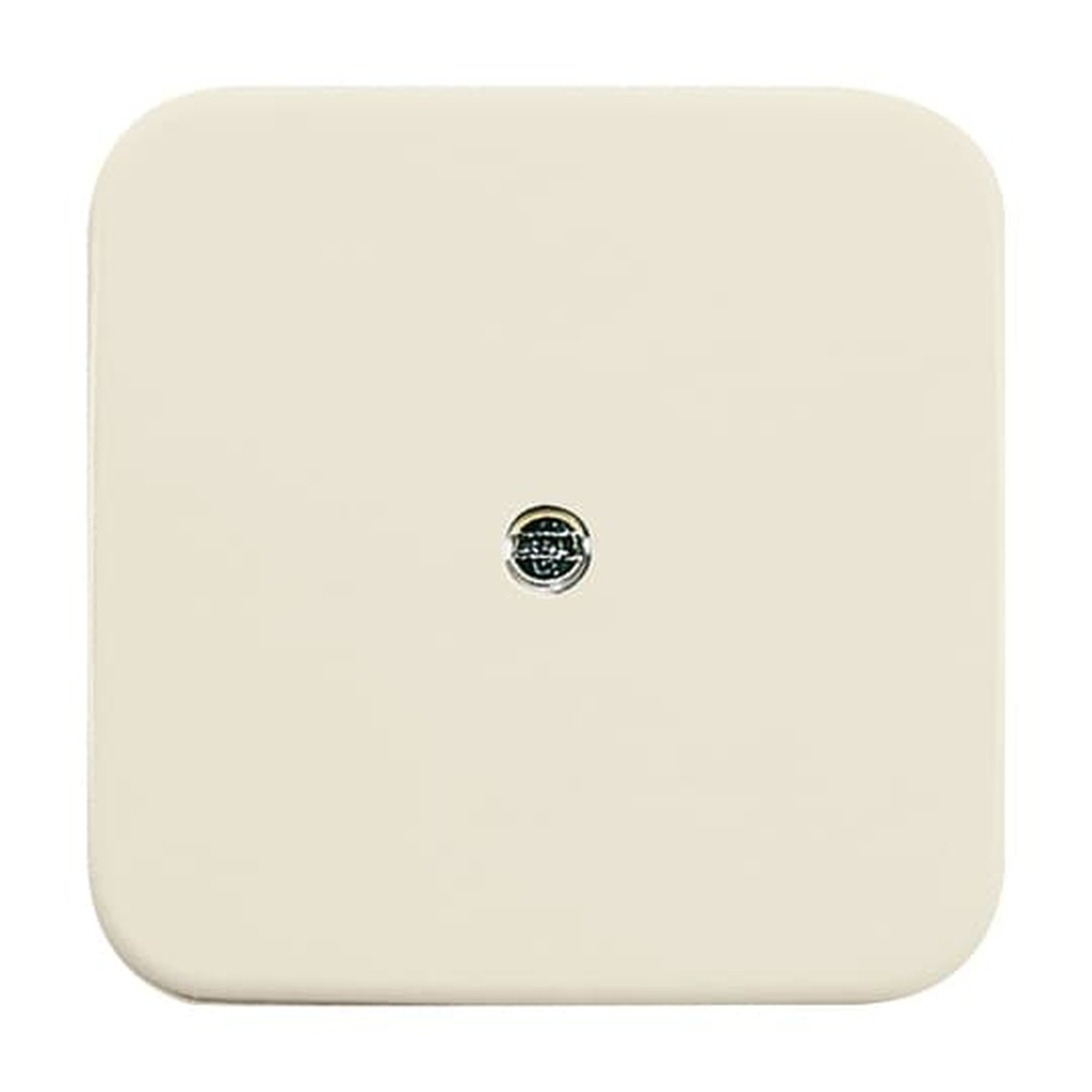 Busch-Jaeger Zentralscheibe 2536-212 Nr. 2CKA001724A0244