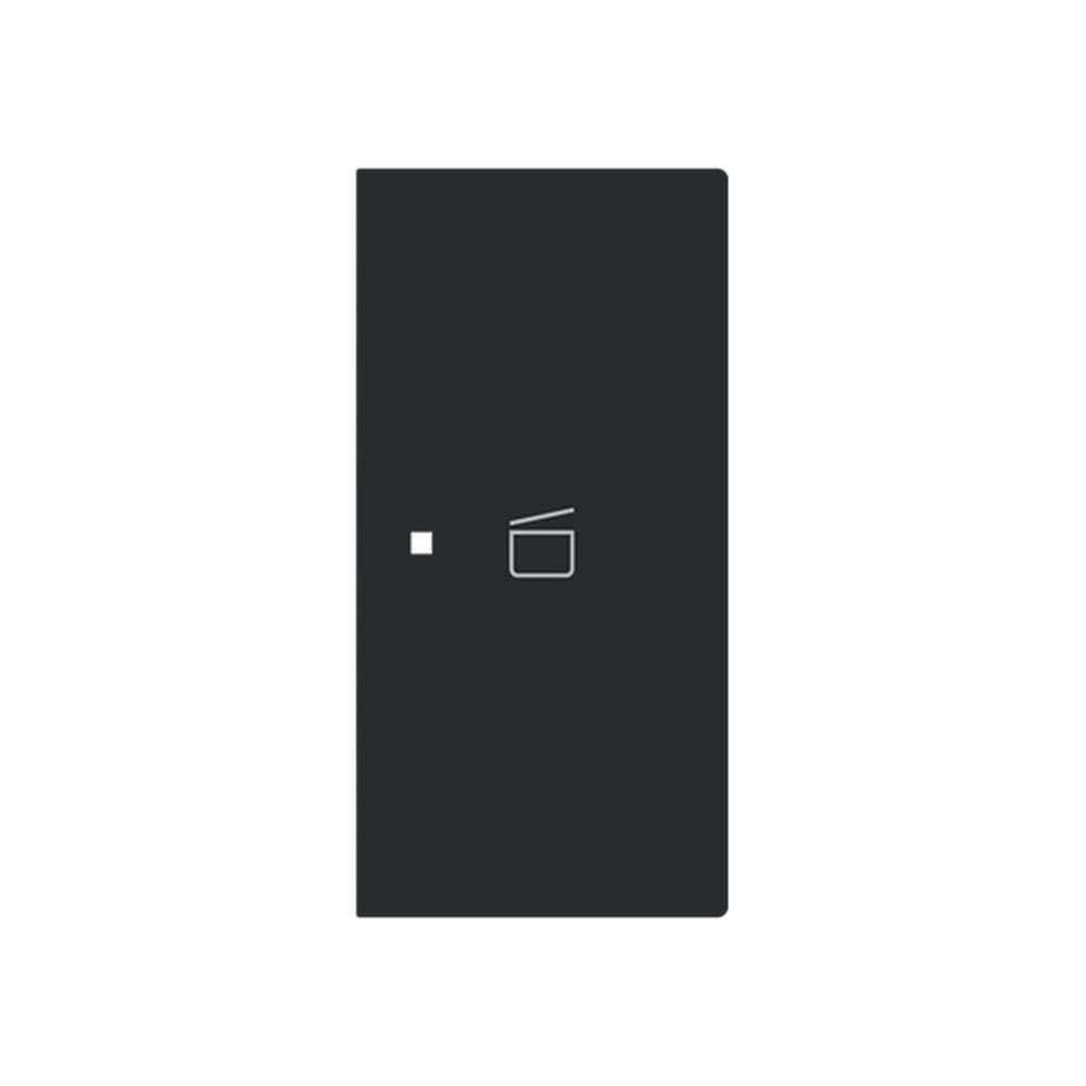 Busch-Jaeger Wippe 6233-22-45M Typ 2CKA006220A0975