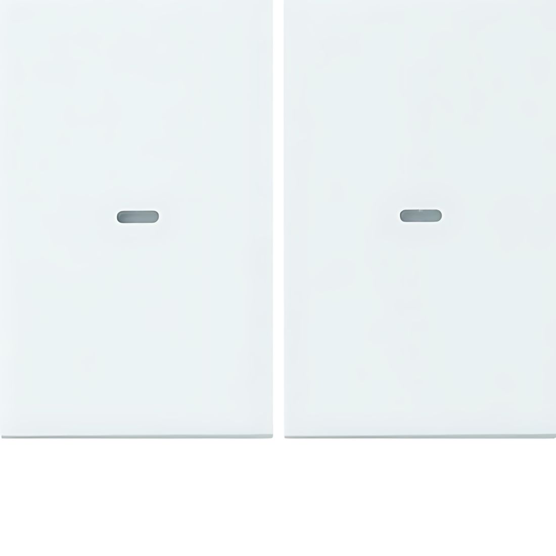 Berker Wippe 80960379