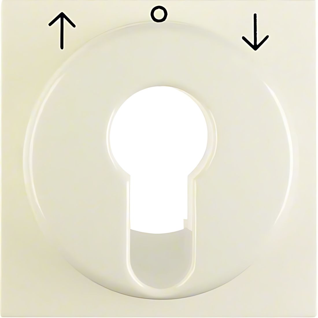 Berker Zentralstück 15068982