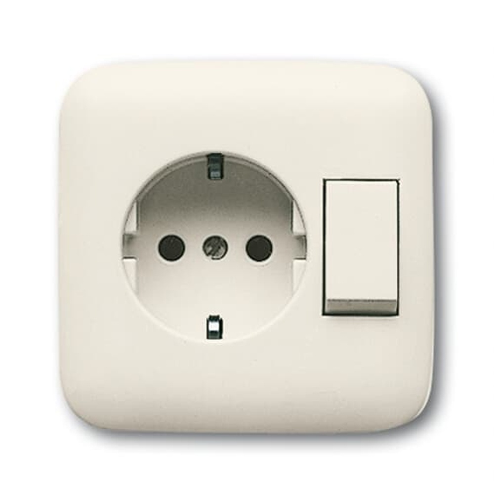 Busch-Jaeger Steckdose mit Wippschalter 4310/6 EUJ-212 Nr. 2CKA001611A0102