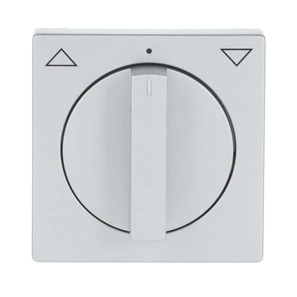 Busch-Jaeger Zentralscheibe 1740-83 Nr. 2CKA001710A3661