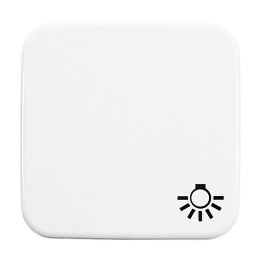 Busch-Jaeger Wippe 2520 LI-214 Nr. 2CKA001731A0934