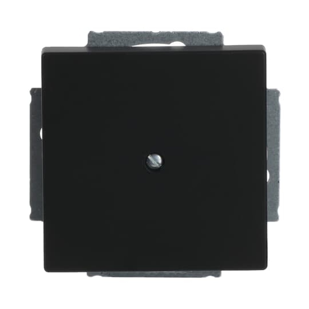 Busch-Jaeger Blindzentralscheibe 1742-885 Nr. 2CKA001710A3895