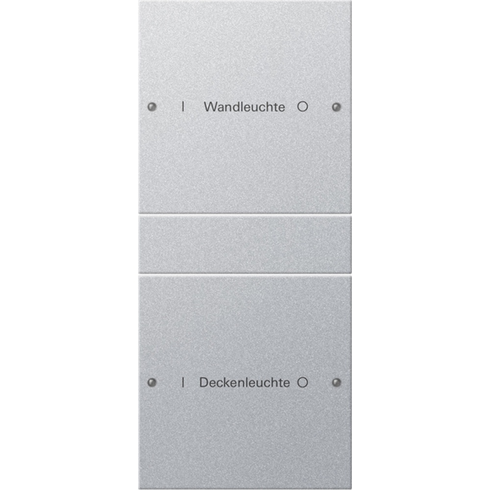 Gira Wippenset 2fach 220226