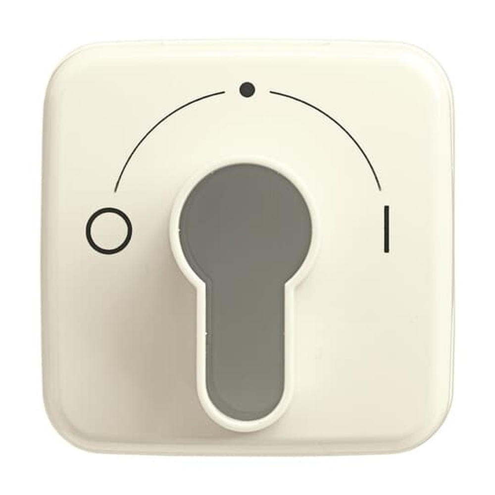 Busch-Jaeger Zentralscheibe 2557 SLPZ-212-101 Nr. 2CKA001710A1340