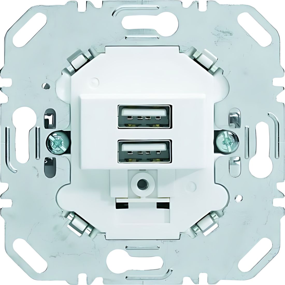 Berker USB Ladesteckdose 260209