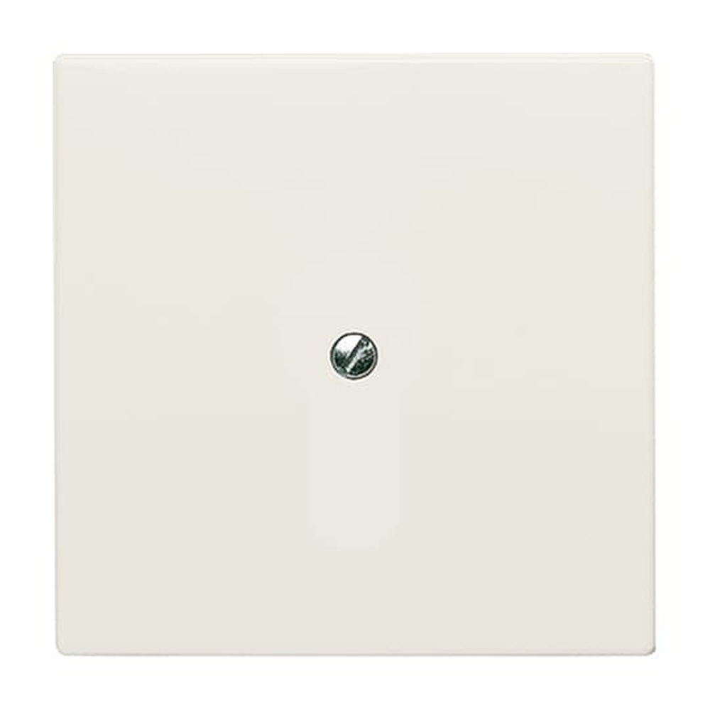 Busch-Jaeger Blindzentralscheibe 2138-32 Nr. 2CKA001710A2264