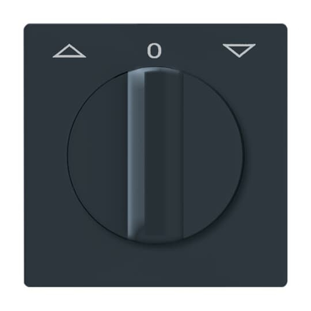 Busch-Jaeger Zentralscheibe 2142 DR-35 Nr. 2CKA001710A1886