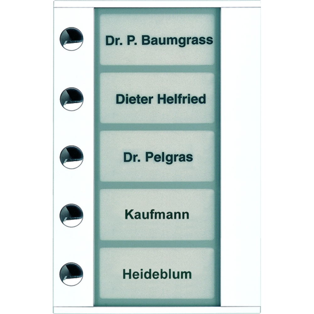 TCS Türstation Audio PDT05-WS/04