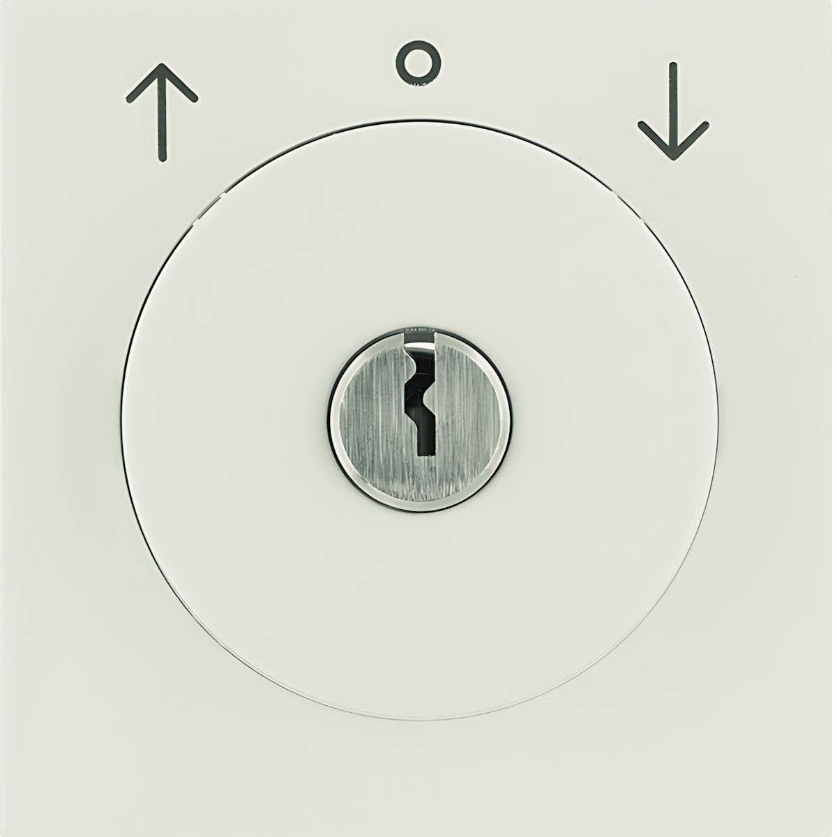 Berker Zentralstück m. Schloss 1081898200