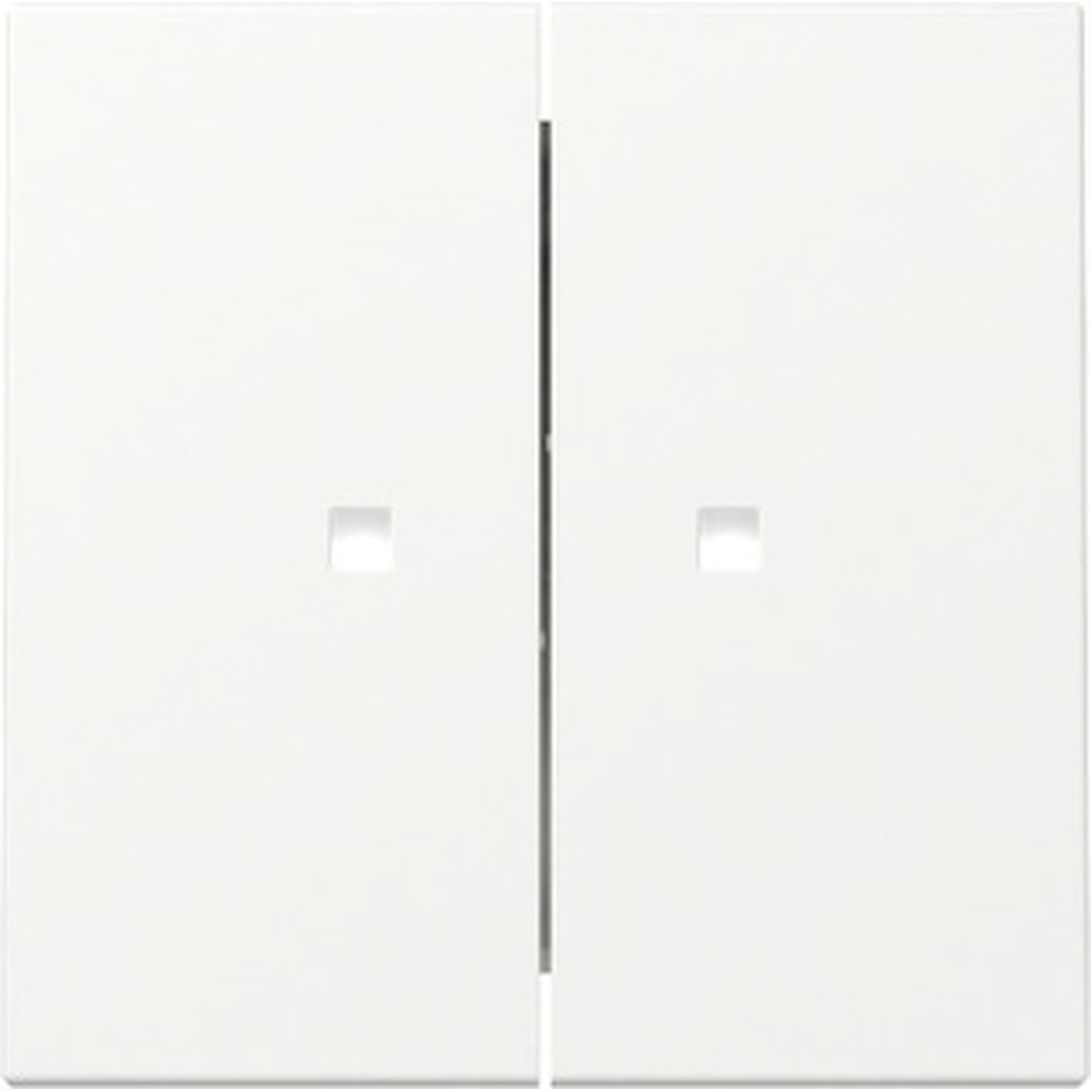 Gira Wippe 2fach 363127