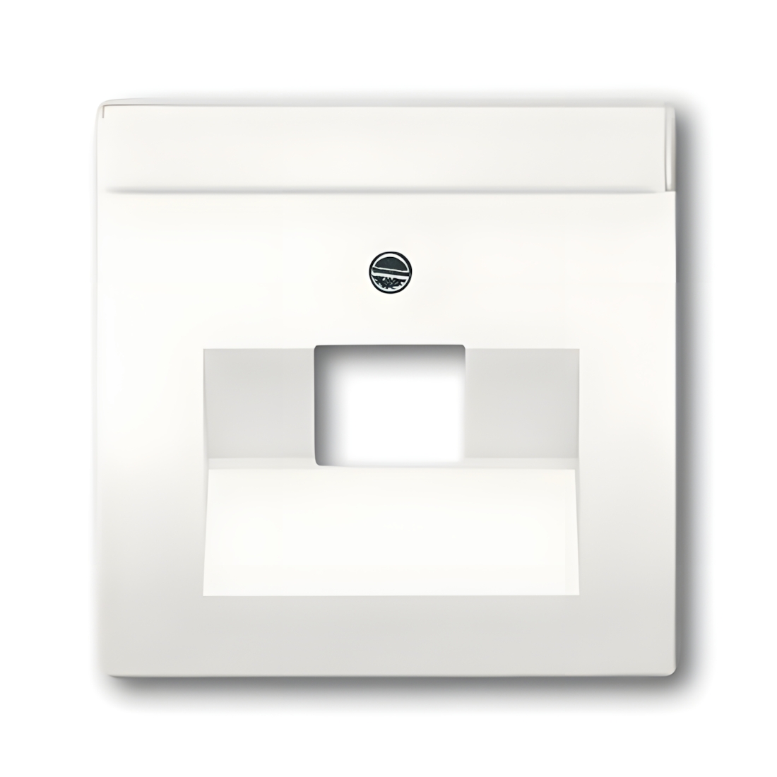 Busch-Jaeger Zentralscheibe 1803-884 Nr. 2CKA001710A3889