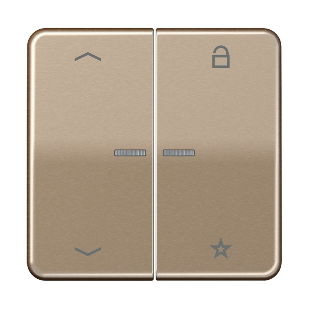 Jung eNet Funk Steuertaste FMCD1701PGB