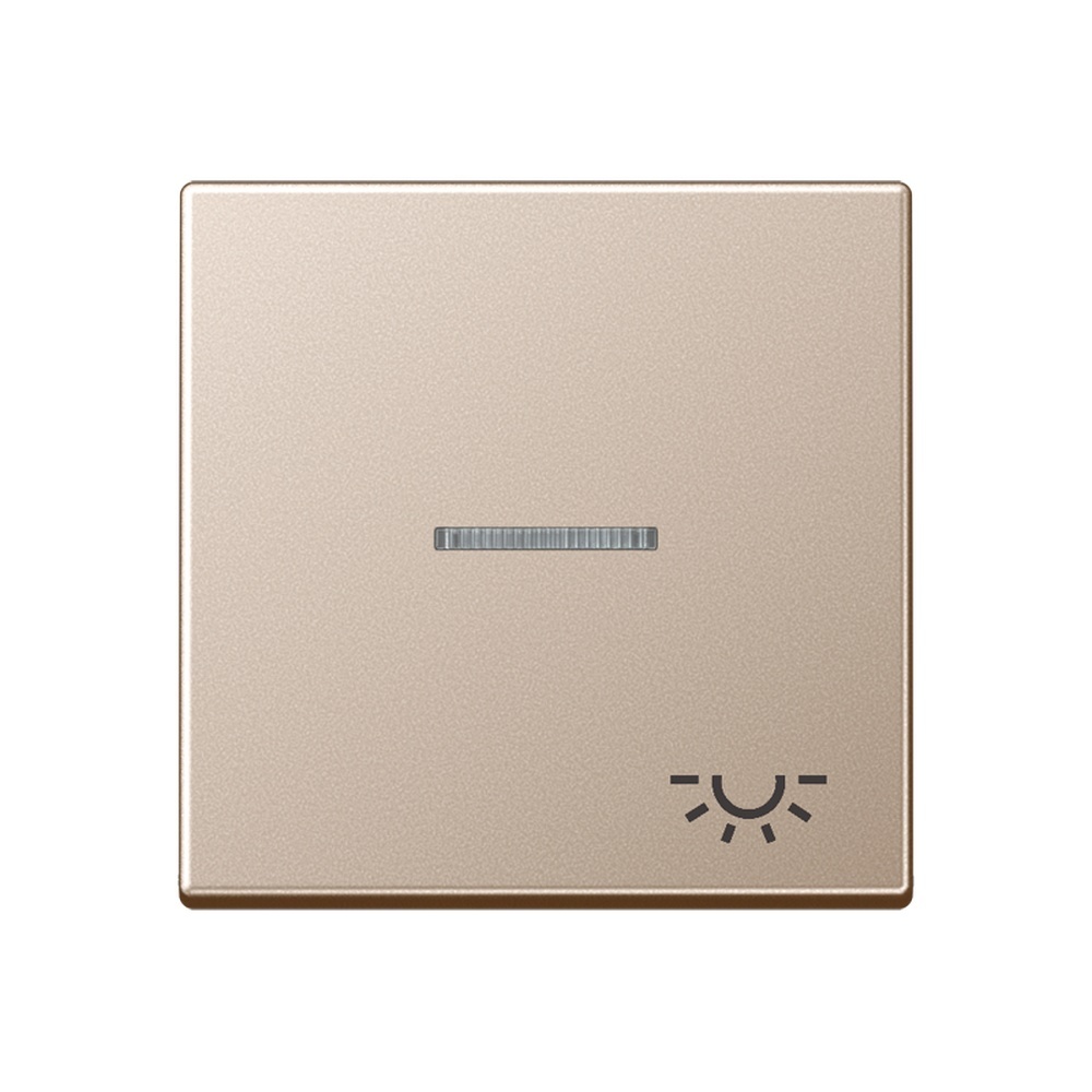 Jung Wippe A 590 KO5L CH