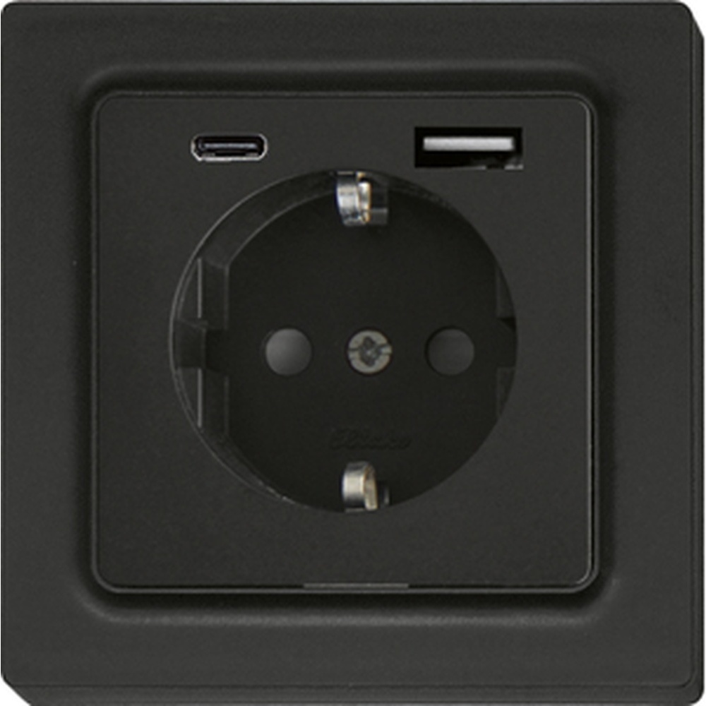 ELTAKO Schutzkontakt Steckdose 30055900 Typ DSS55E+USBA+C-am