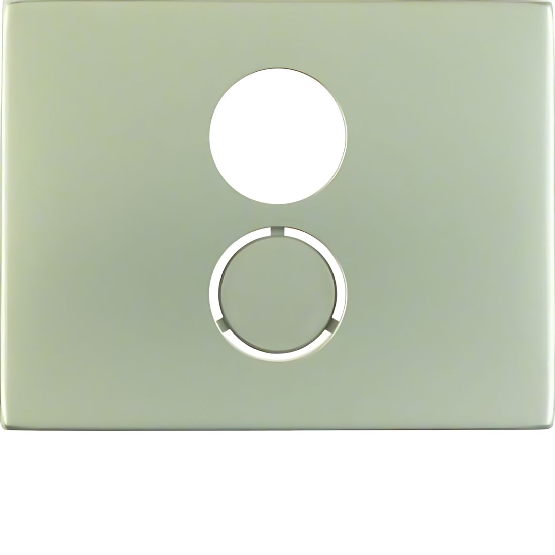 Berker Zentralstück 11847004