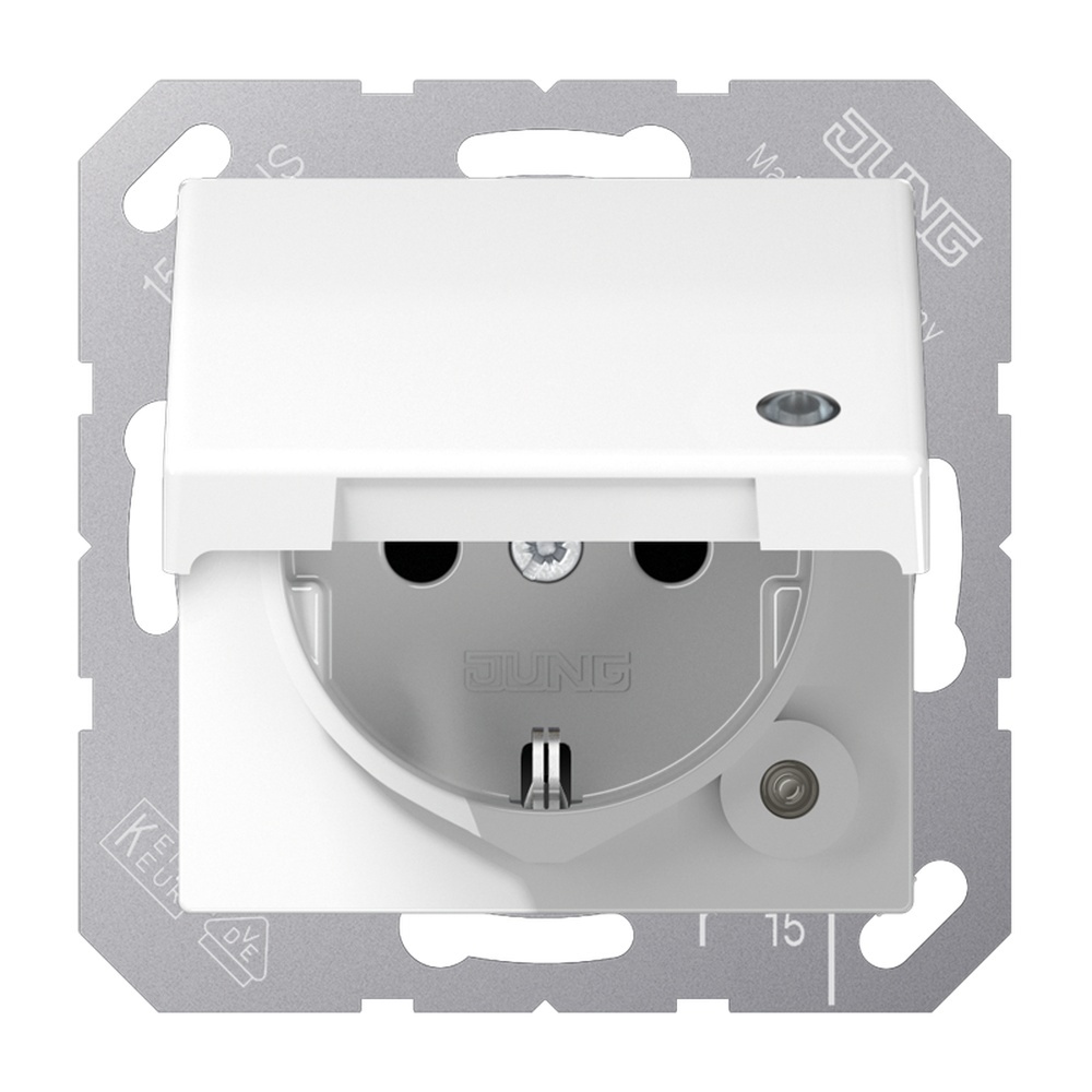 Jung SCHUKO Steckdose SPAS1520KLKOWW