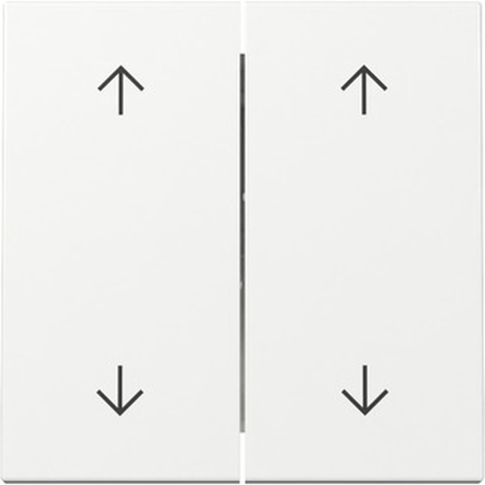 Gira Wippe 2fach 329703