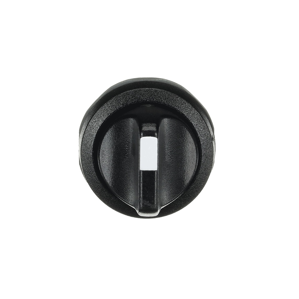 ABB Frontelement für Wahlschalter 1SFA611250R1006 Typ M3SSC1-10B