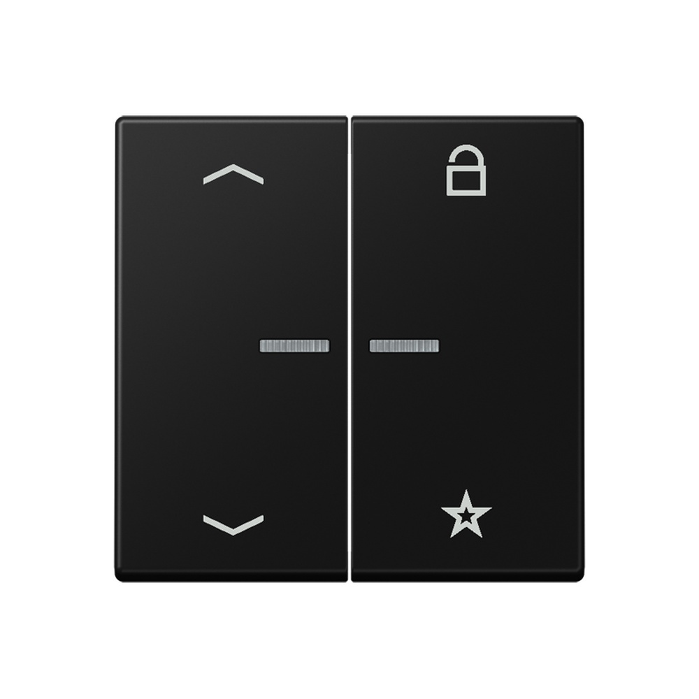 Jung eNet Funk Steuertaste  Pfeile  2fach FMA1701BFPSWM