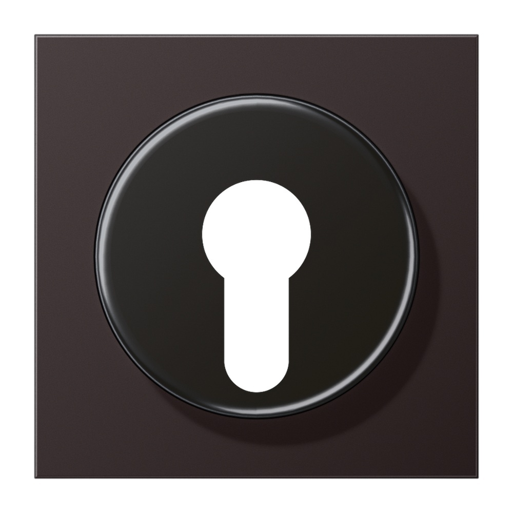 Jung Abdeckung Schlüsselschalter AL 2928 D