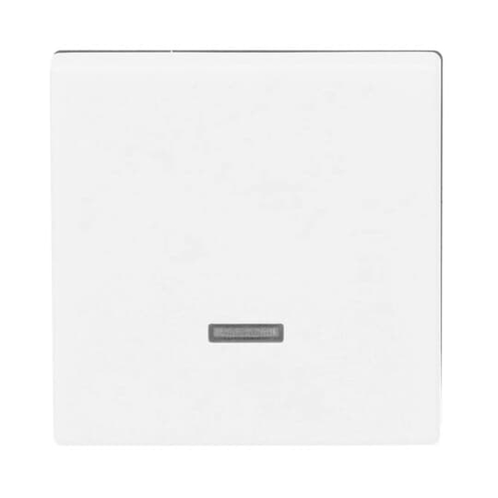 Busch-Jaeger Bedienelement 6543-884-101 Nr. 2CKA006599A2963