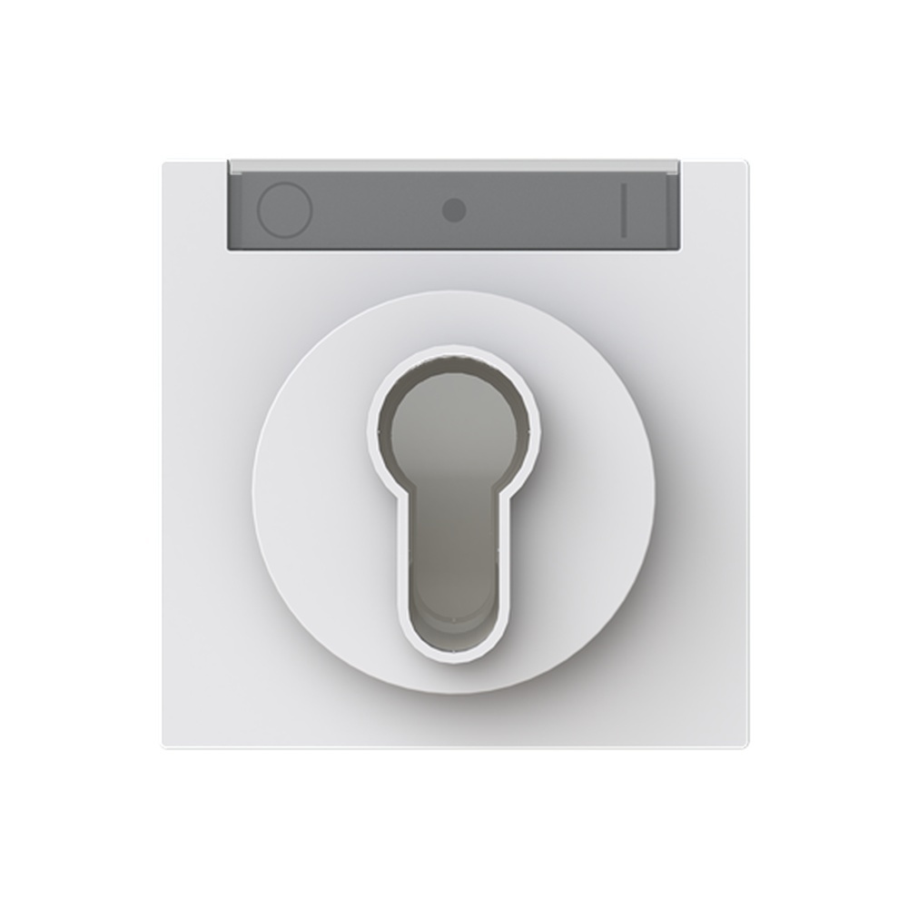 Busch-Jäger Zentralscheibe 1755 SL/PZ-44G Nr. 2CKA001710A4157