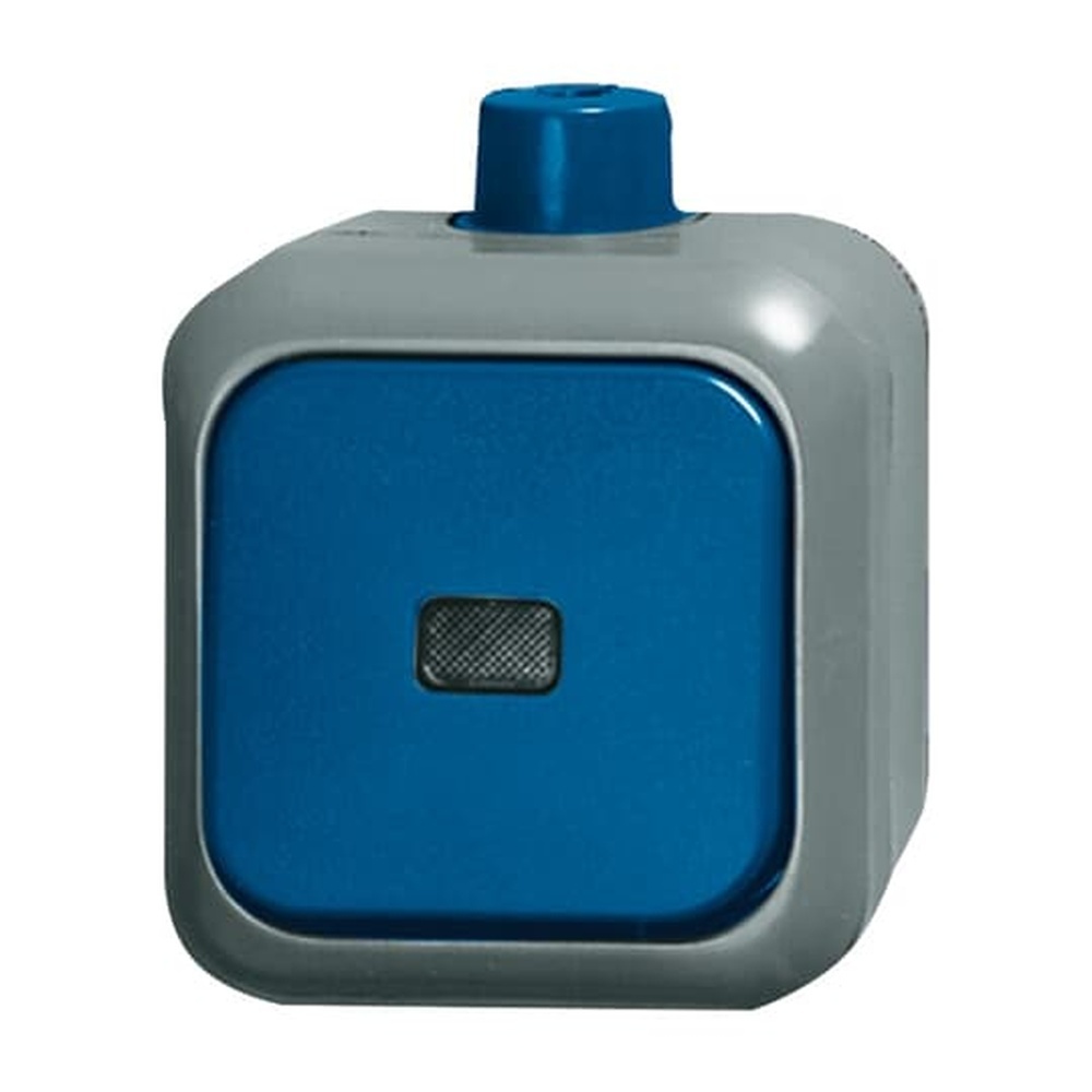 Busch-Jaeger Wippkontrollschalter 2601/6 SKWDI Nr. 2CKA001084A0854