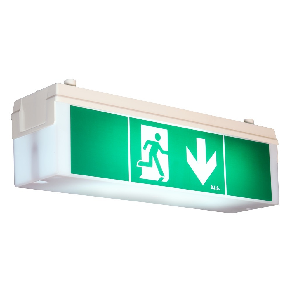 B.E.G. Brück Not Sicherheitsleuchte 1201 Typ 2DN14/6/3DALI-LED