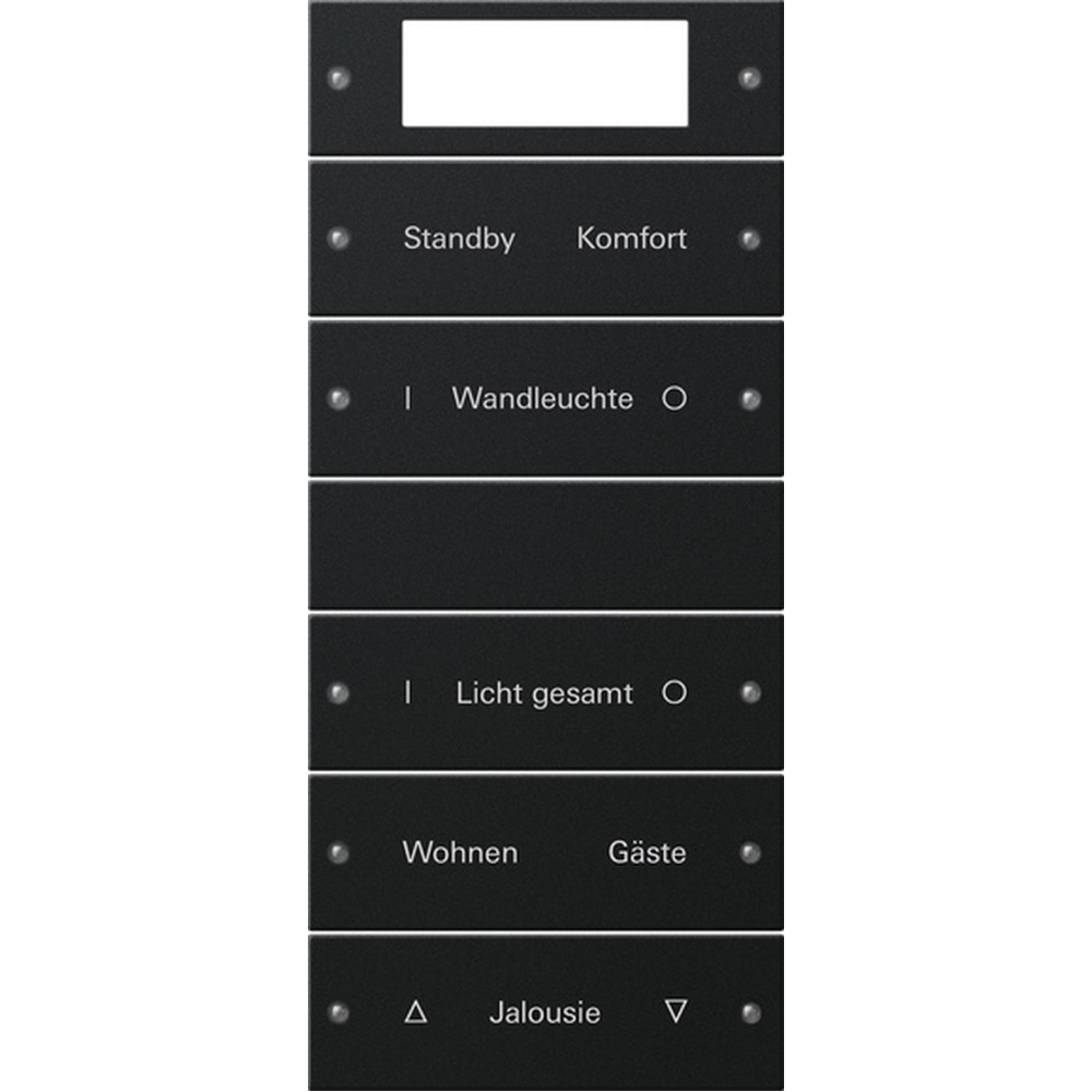 Gira Wippenset 2215005