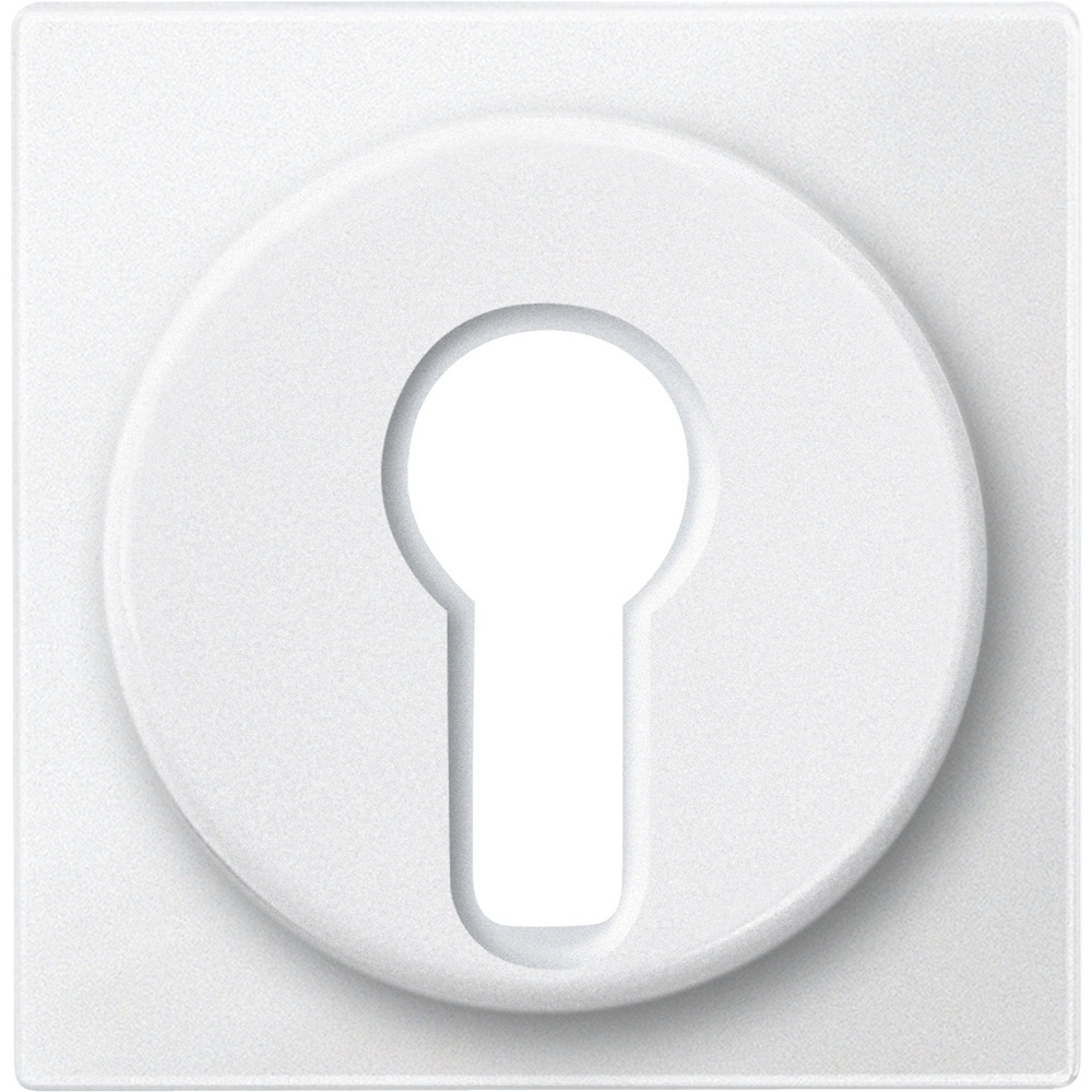 Merten Zentralplatte 318119