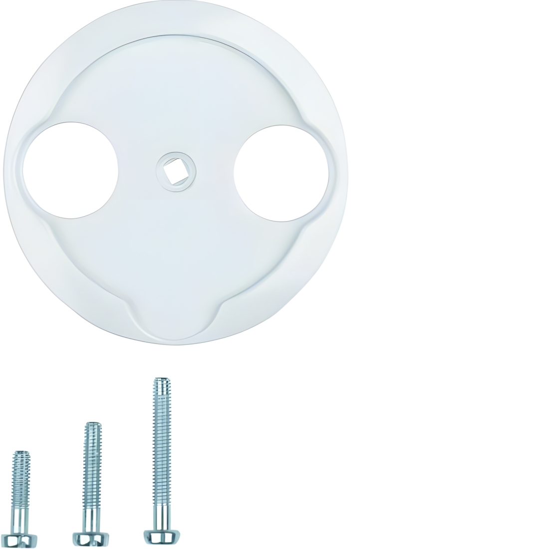 Berker Zentralstück 103920