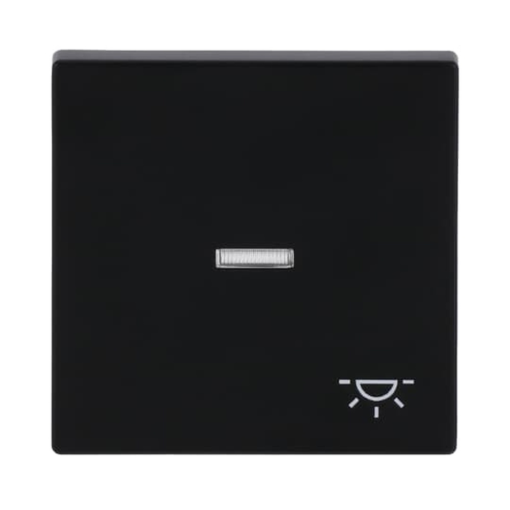 Busch-Jaeger Wippe 1789 LI-885 Nr. 2CKA001751A3045